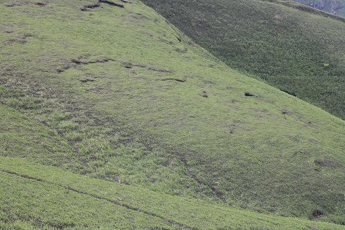e0082098_21191096.jpg
