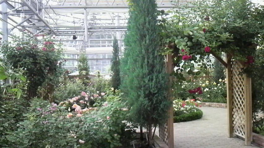 e0082098_2139816.jpg