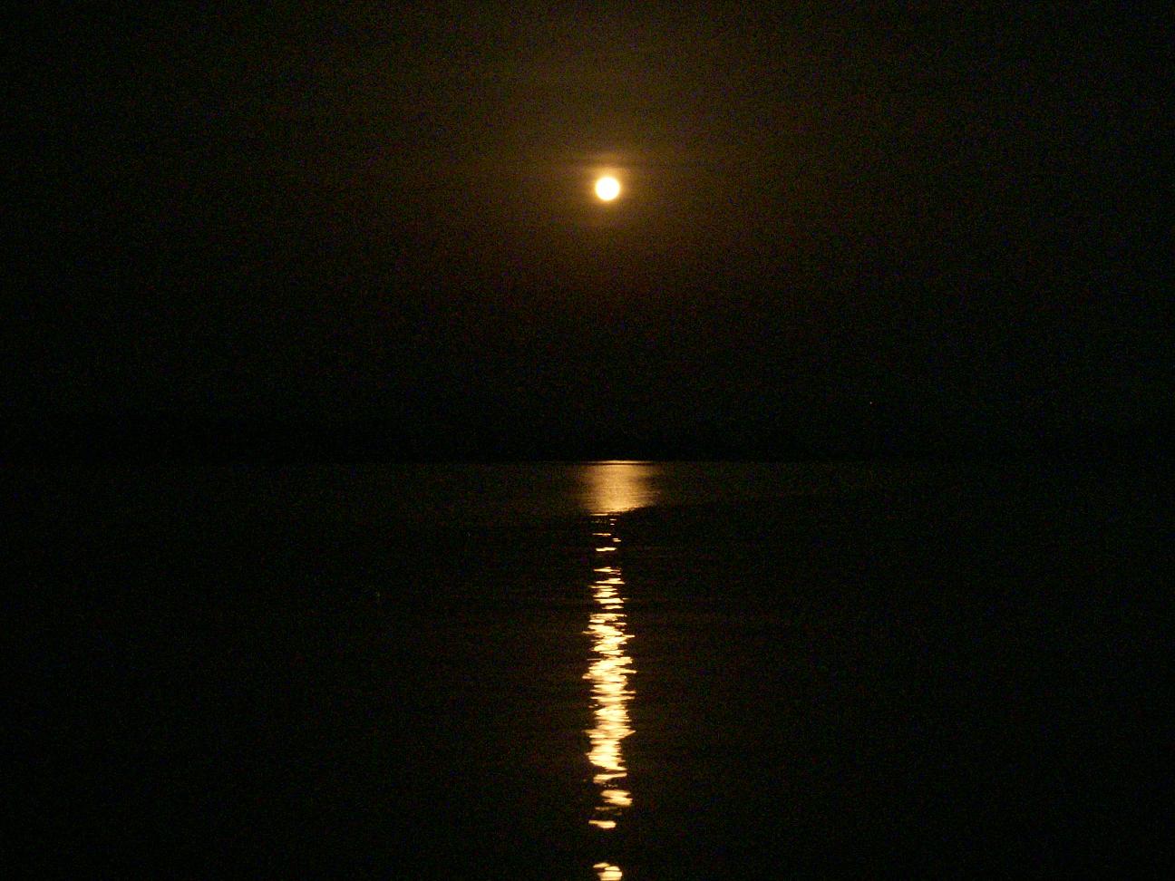 c0068901_23315679.jpg