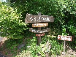 c0157103_10454825.jpg