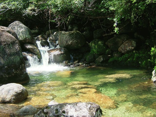 d0100504_132297.jpg