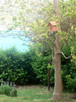 e0014507_20185219.jpg