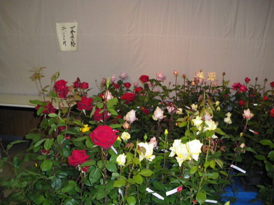 b0052108_011663.jpg