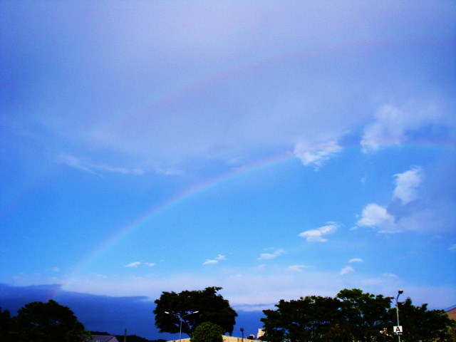 e0015108_7542949.jpg