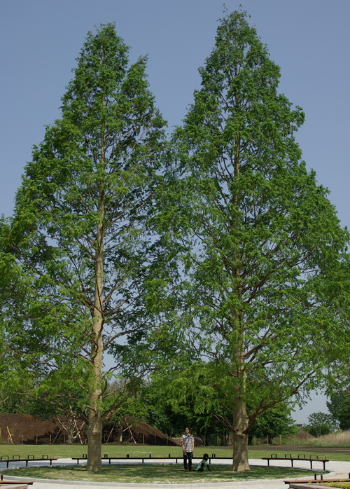 c0101713_15461114.jpg
