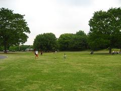 f0130913_22491413.jpg