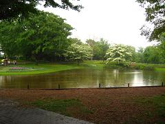 f0130913_22505534.jpg