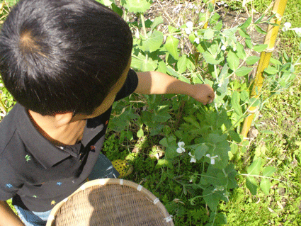 e0015915_1738712.gif