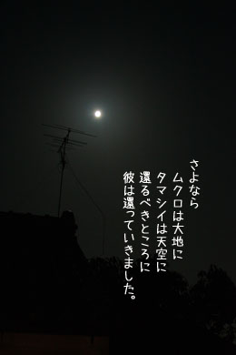 e0156015_8342130.jpg