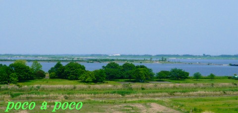d0111216_21443771.jpg