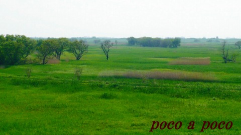 d0111216_21452891.jpg