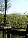 f0188324_2364720.jpg