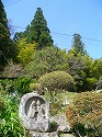 f0188324_2374237.jpg