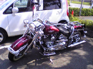 a0099129_2222667.jpg