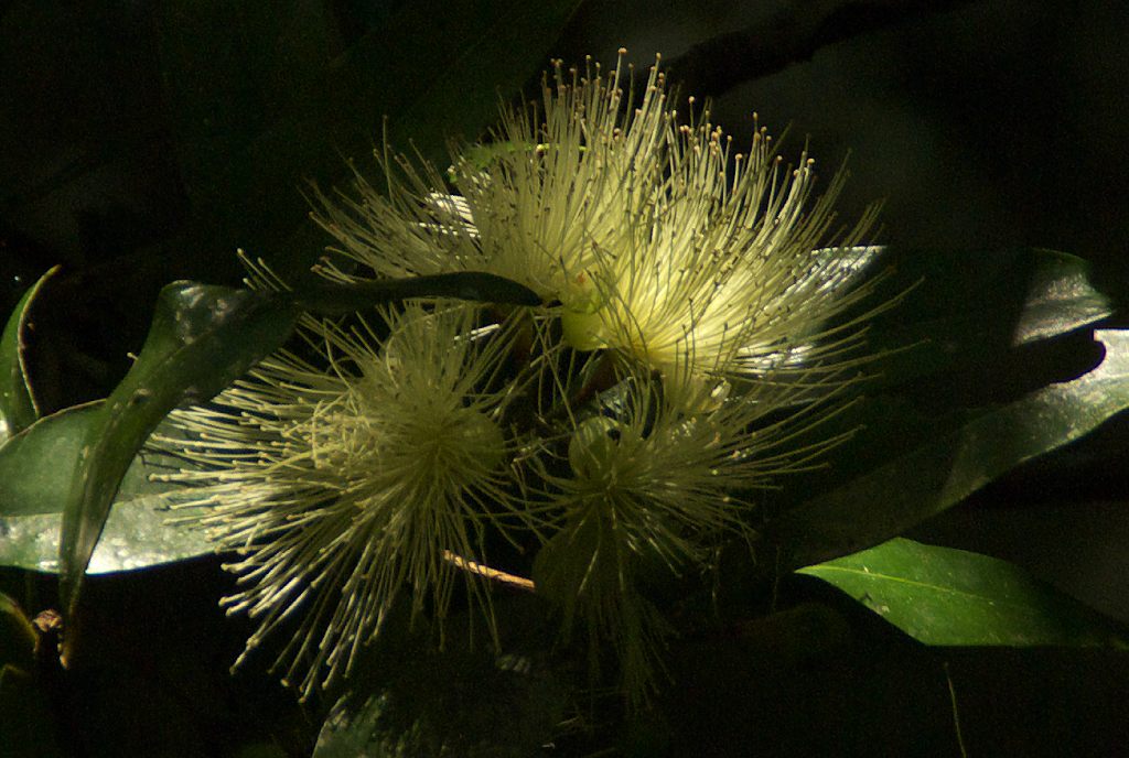 d0053930_6192417.jpg