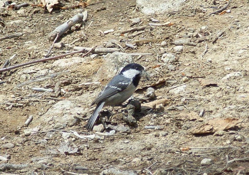 f0118332_22241041.jpg
