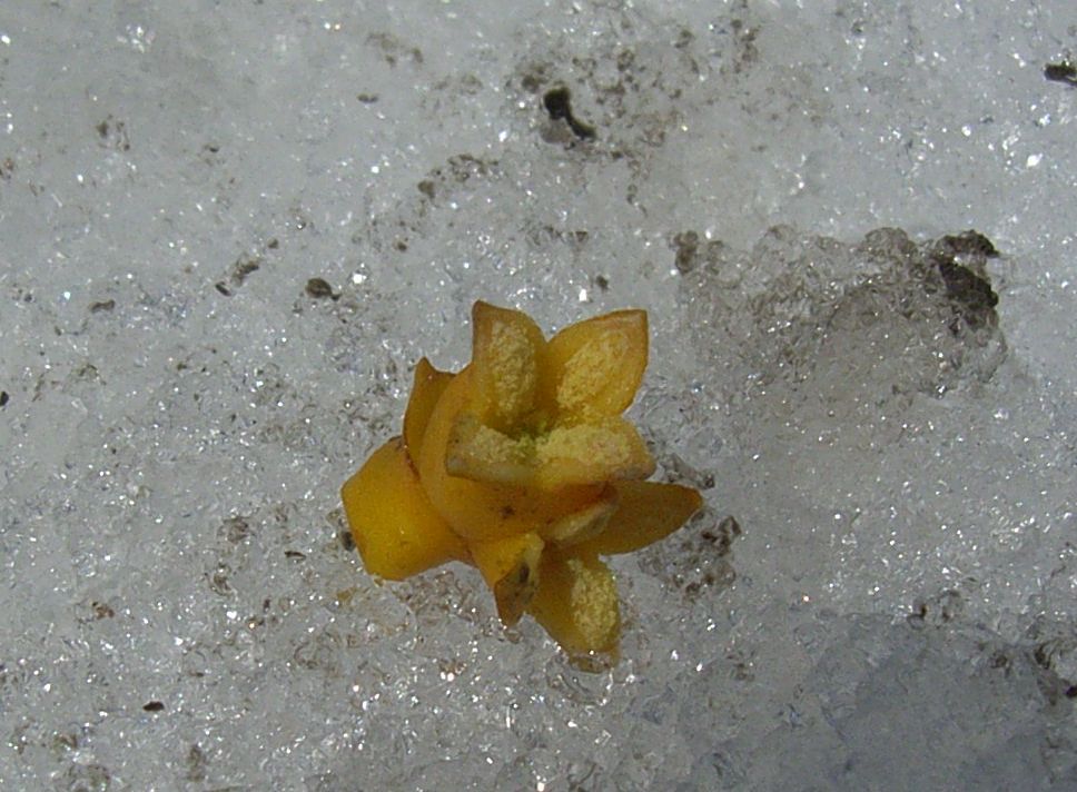 f0118332_22271445.jpg
