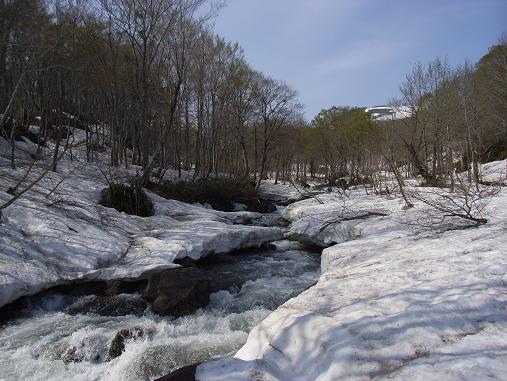 f0118332_2245245.jpg