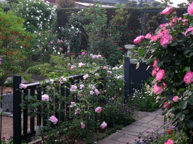 c0109235_2320761.jpg