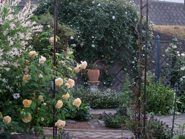 c0109235_23352148.jpg