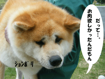 f0008935_13512985.gif