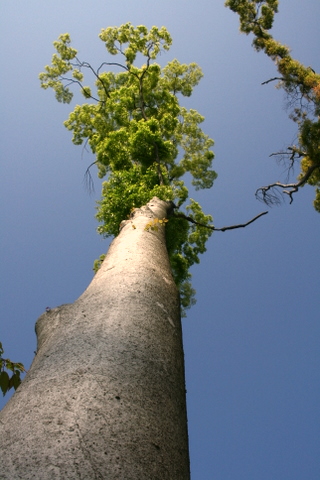 c0156438_0381427.jpg