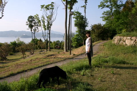 c0156438_041069.jpg