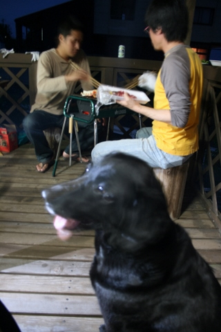 c0156438_0453327.jpg