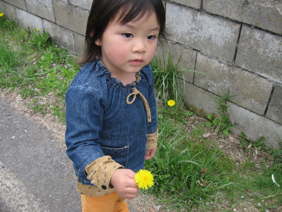 f0182838_311971.jpg