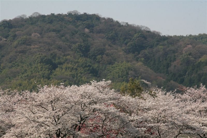 c0179844_6155641.jpg
