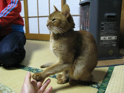 b0169545_095210.jpg