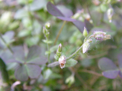 b0170947_905965.jpg