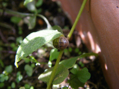 b0170947_915850.jpg
