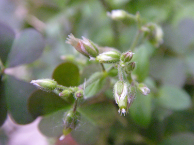 b0170947_924445.jpg