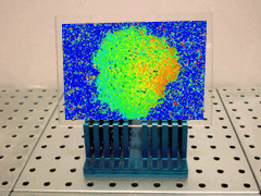 e0005548_22544780.gif