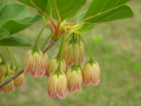 a0009750_16492091.jpg