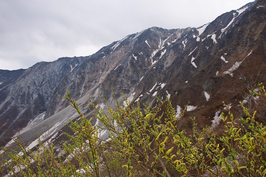 f0049152_16332293.jpg