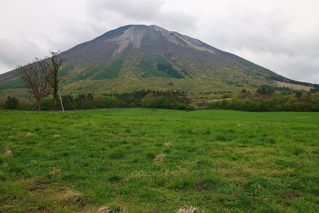 f0049152_16433079.jpg