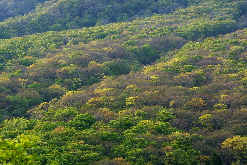 f0049152_16442264.jpg