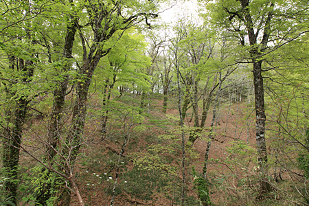 e0113053_12335136.jpg