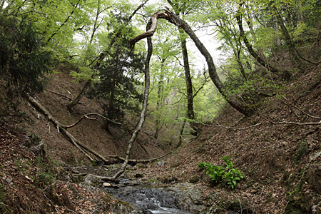e0113053_1235288.jpg