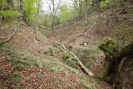 e0113053_1237558.jpg