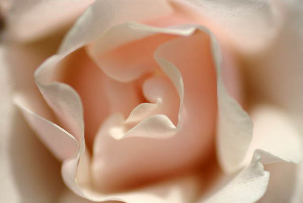 f0176353_16495436.jpg