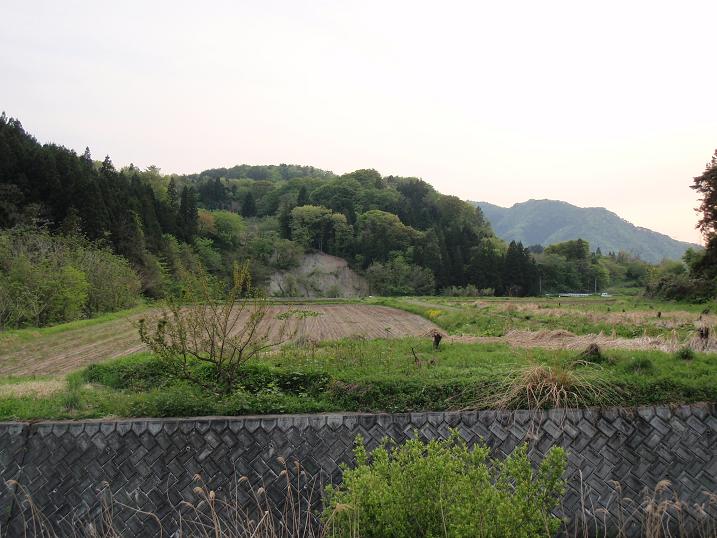 b0177355_23165960.jpg