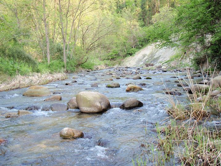 b0177355_23381572.jpg