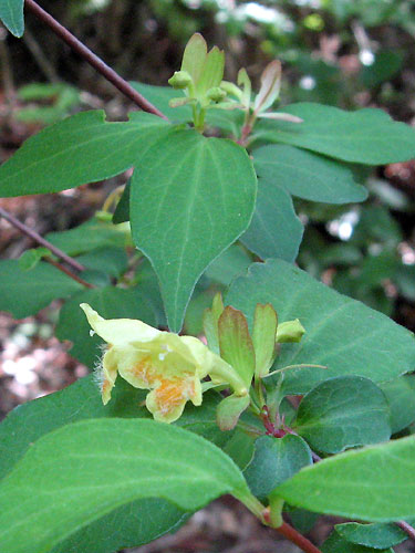 f0007956_1643650.jpg
