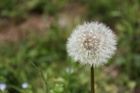c0107861_2347490.jpg