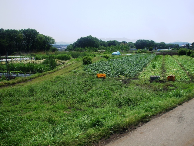 f0131165_22324661.jpg