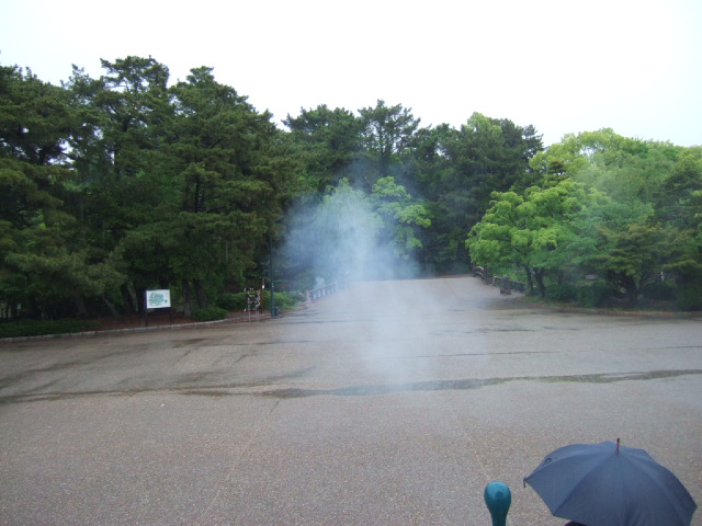 c0086766_10434825.jpg