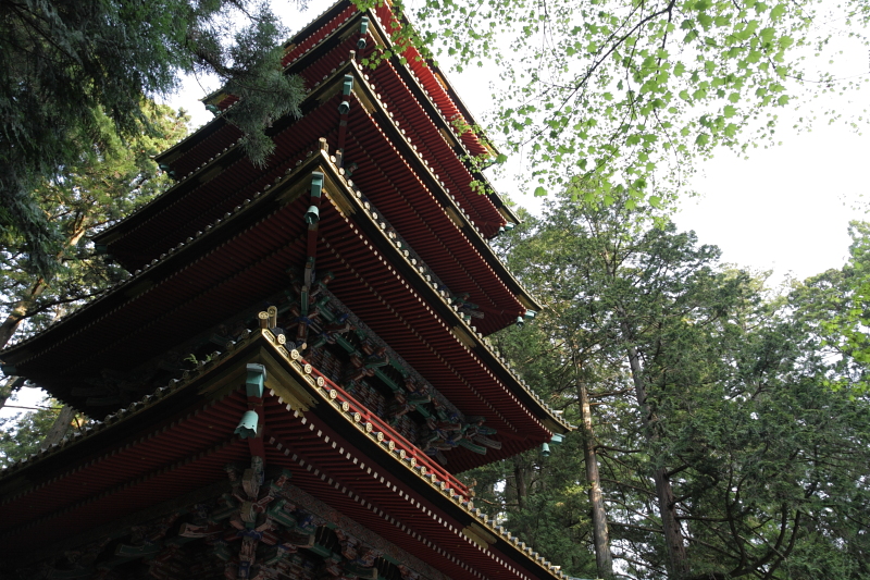 b0027267_2063669.jpg
